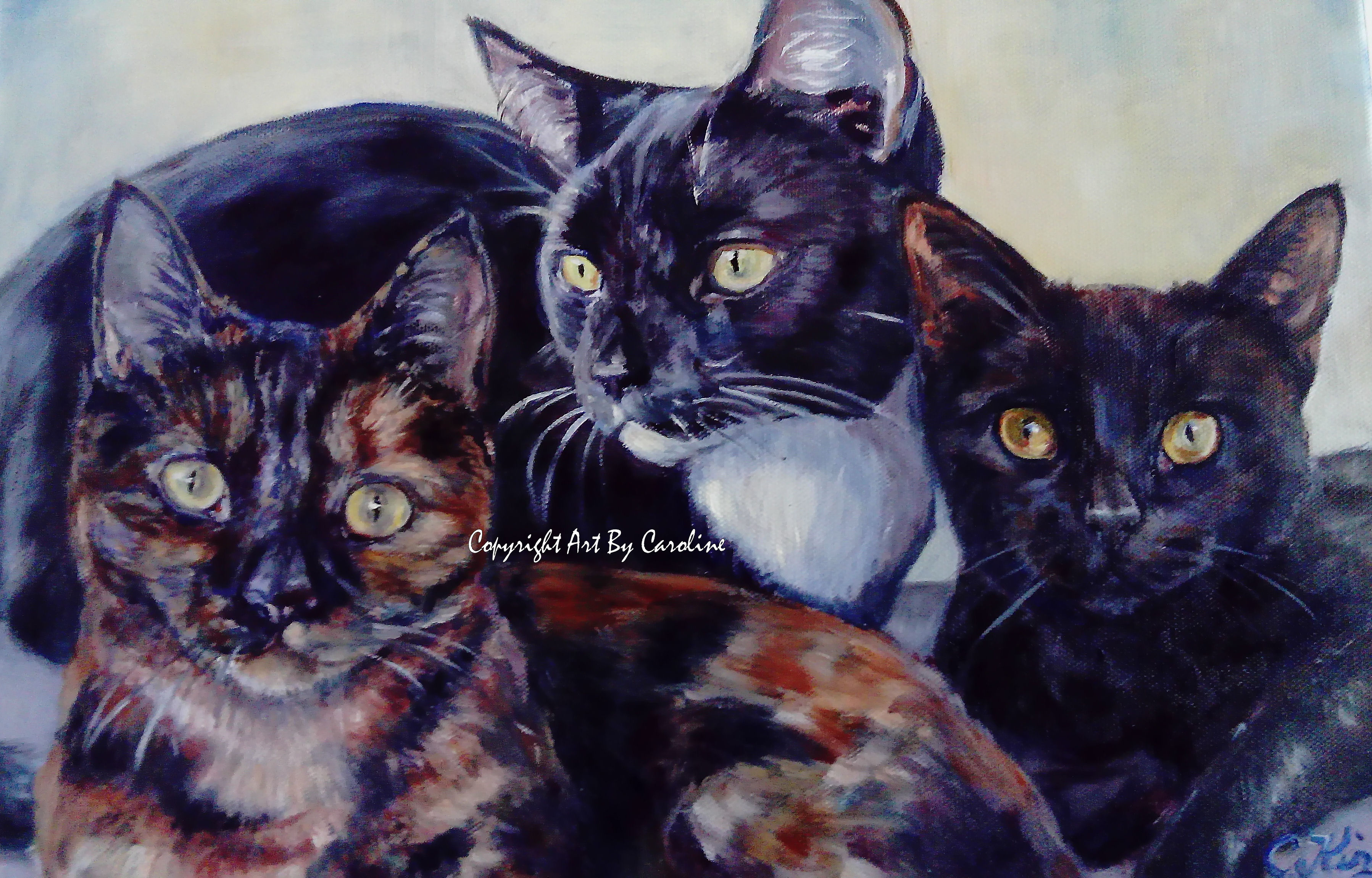 3 cats